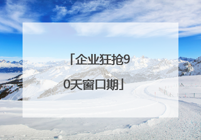 企业狂抢90天窗口期