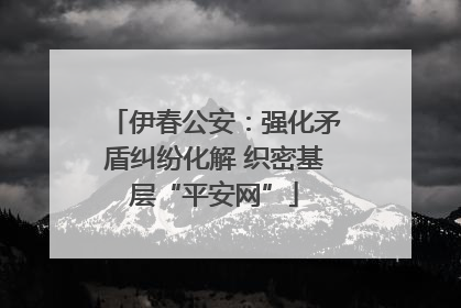 伊春公安：强化矛盾纠纷化解 织密基层“平安网”