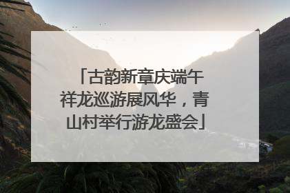 古韵新章庆端午 祥龙巡游展风华，青山村举行游龙盛会