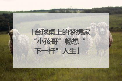 台球桌上的梦想家 “小孩哥”畅想“下一杆”人生