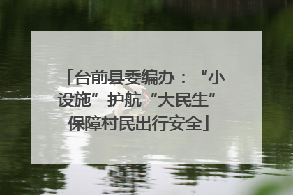 台前县委编办：“小设施”护航“大民生” 保障村民出行安全