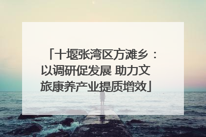 十堰张湾区方滩乡：以调研促发展 助力文旅康养产业提质增效