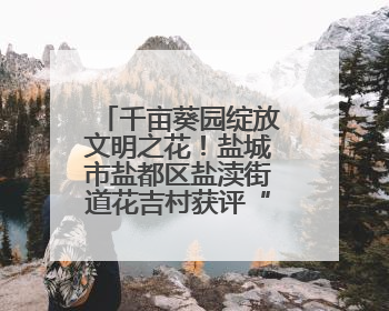 千亩葵园绽放文明之花！盐城市盐都区盐渎街道花吉村获评“全国文明村”
