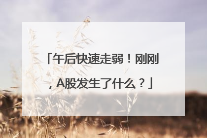 午后快速走弱！刚刚，A股发生了什么？