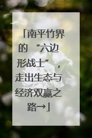 南平竹界的 “六边形战士”，走出生态与经济双赢之路→