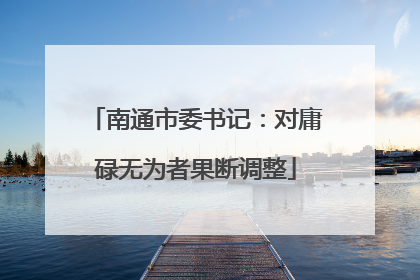 南通市委书记：对庸碌无为者果断调整