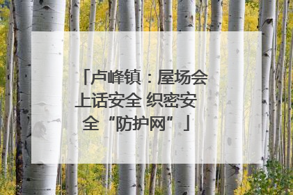 卢峰镇：屋场会上话安全 织密安全“防护网”