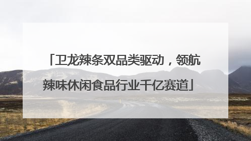卫龙辣条双品类驱动，领航辣味休闲食品行业千亿赛道