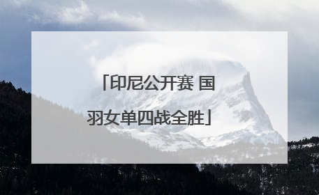 印尼公开赛 国羽女单四战全胜