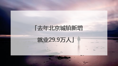 去年北京城镇新增就业29.9万人