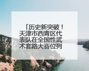 历史新突破！天津市西青区代表队在全国性武术套路大赛位列全国第三