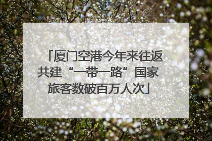 厦门空港今年来往返共建“一带一路”国家旅客数破百万人次