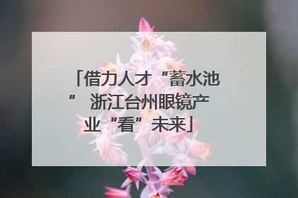 借力人才“蓄水池” 浙江台州眼镜产业“看”未来