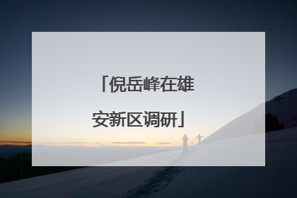 倪岳峰在雄安新区调研
