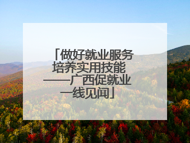 做好就业服务 培养实用技能——广西促就业一线见闻