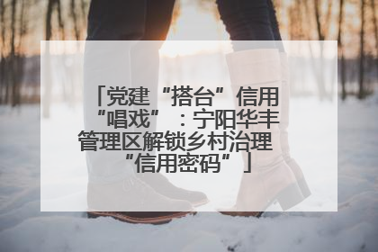 党建“搭台”信用“唱戏”：宁阳华丰管理区解锁乡村治理“信用密码”