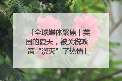 全球媒体聚焦｜美国的夏天，被关税政策“浇灭”了热情