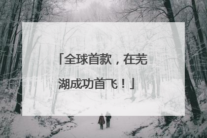 全球首款，在芜湖成功首飞！