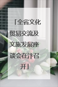 全省文化贸易交流及文旅发展座谈会在汴召开