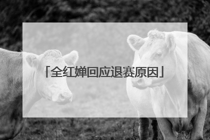 全红婵回应退赛原因