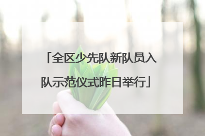 全区少先队新队员入队示范仪式昨日举行