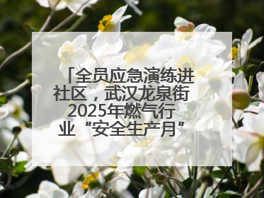 全员应急演练进社区，武汉龙泉街2025年燃气行业“安全生产月”宣传活动举行