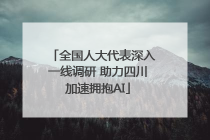 全国人大代表深入一线调研 助力四川加速拥抱AI