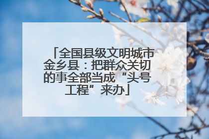 全国县级文明城市金乡县：把群众关切的事全部当成“头号工程”来办