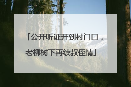 公开听证开到村门口，老柳树下再续叔侄情