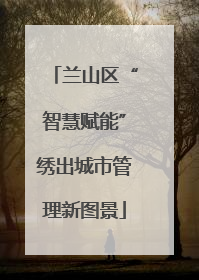 兰山区“智慧赋能”绣出城市管理新图景