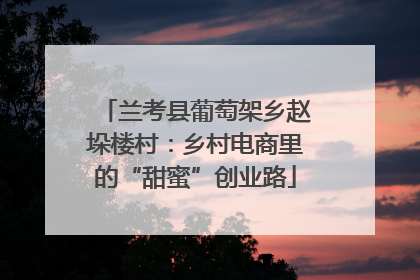 兰考县葡萄架乡赵垛楼村：乡村电商里的“甜蜜”创业路