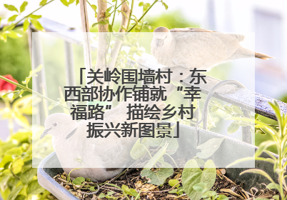关岭围墙村：东西部协作铺就“幸福路” 描绘乡村振兴新图景