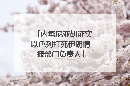 内塔尼亚胡证实以色列打死伊朗情报部门负责人