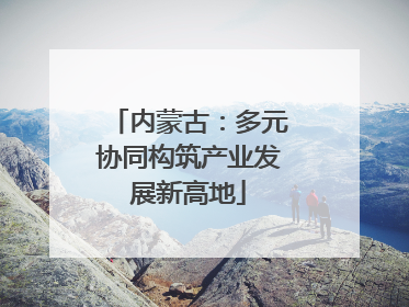 内蒙古：多元协同构筑产业发展新高地