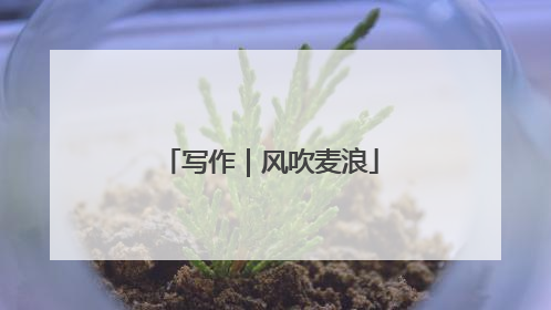 写作｜风吹麦浪