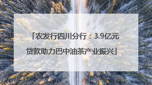 农发行四川分行：3.9亿元贷款助力巴中油茶产业振兴