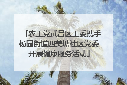 农工党武昌区工委携手杨园街道四美塘社区党委开展健康服务活动