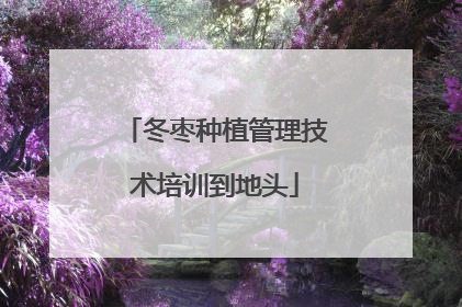 冬枣种植管理技术培训到地头