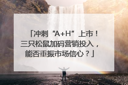 冲刺“A+H”上市！三只松鼠加码营销投入，能否重振市场信心？