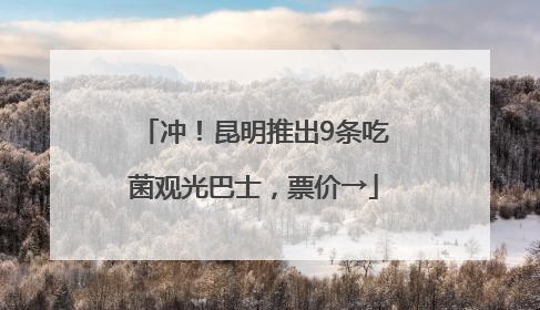 冲！昆明推出9条吃菌观光巴士，票价→