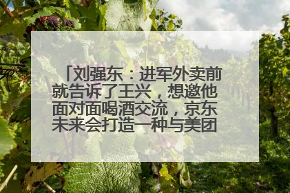 刘强东：进军外卖前就告诉了王兴，想邀他面对面喝酒交流，京东未来会打造一种与美团不同的商业模式