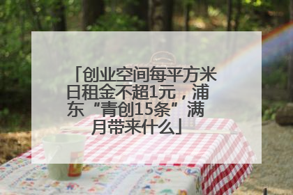 创业空间每平方米日租金不超1元，浦东“青创15条”满月带来什么