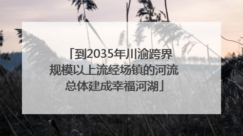 到2035年川渝跨界规模以上流经场镇的河流总体建成幸福河湖