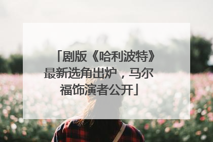 剧版《哈利波特》最新选角出炉，马尔福饰演者公开