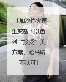 加沙停火再生变数：以色列“接受”美方案、哈马斯不认可