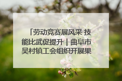 劳动竞赛展风采 技能比武促提升｜曲阜市吴村镇工会组织开展果树套袋技能竞赛