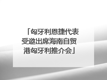 匈牙利恩捷代表受邀出席海南自贸港匈牙利推介会