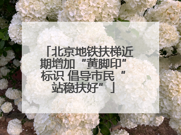 北京地铁扶梯近期增加“黄脚印”标识 倡导市民“站稳扶好”