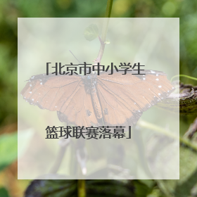 北京市中小学生篮球联赛落幕