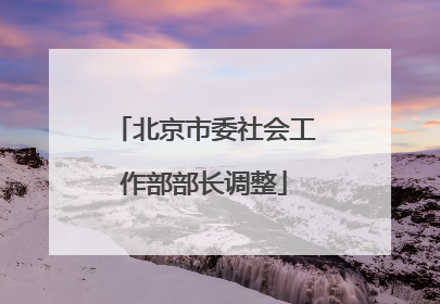 北京市委社会工作部部长调整